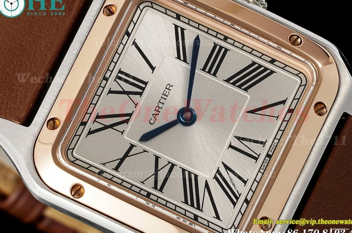 LE AF Dumont RG Silver Dial Brown Santos Quartz 1203